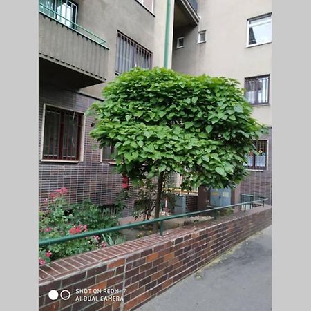A Cosy Studio In The City Centre Bratislava Exterior photo