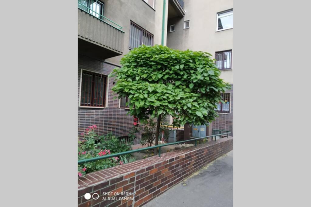 A Cosy Studio In The City Centre Bratislava Exterior photo